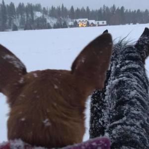 Meet your Posher, Connie